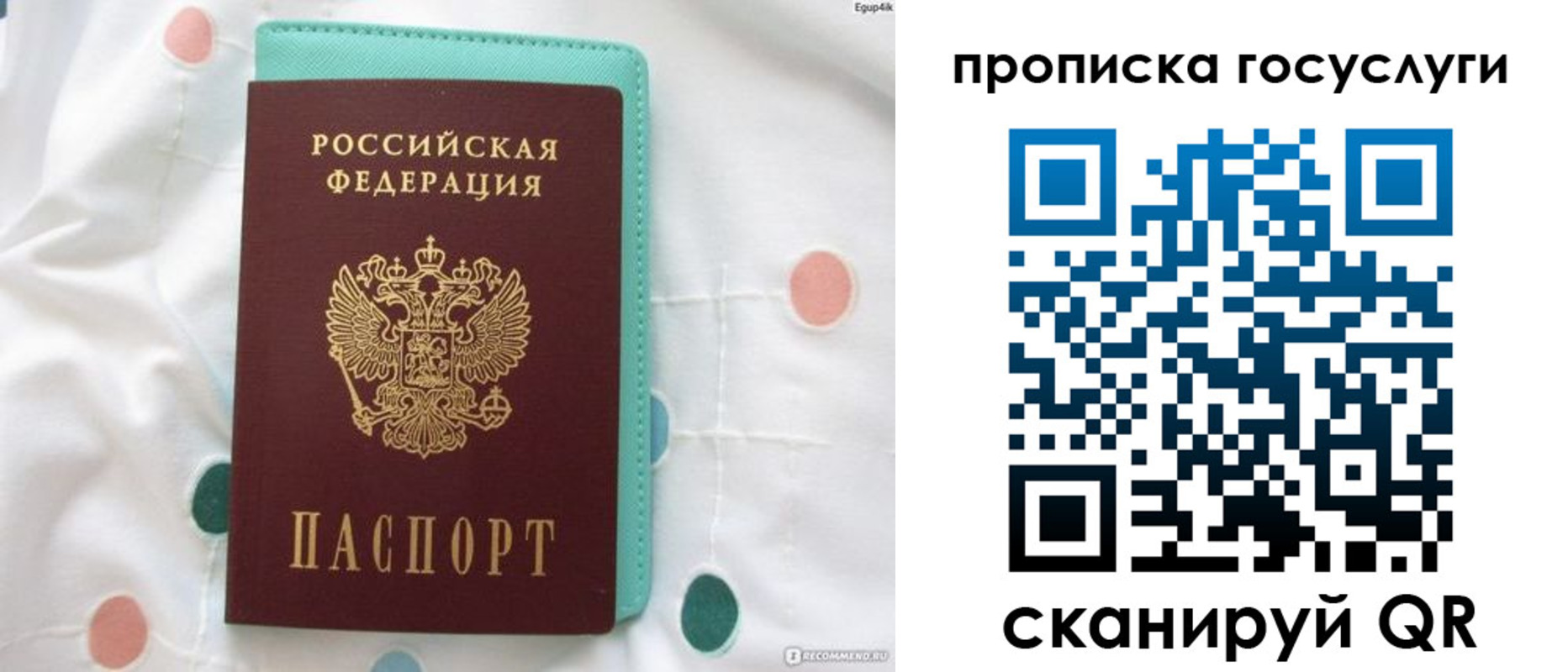 прописка поиск в Унече